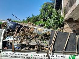 Best Attic Cleanout  in Edburgh, IN